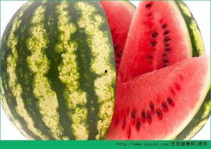 每日吃瓜,轻松掌握娱乐圈新鲜事