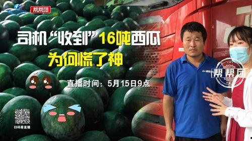 今日吃瓜完整版免费,完整版免费放送，热点追踪不容错过