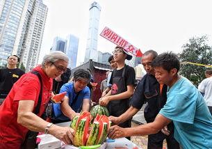 今日吃瓜每日更新朝阳群众